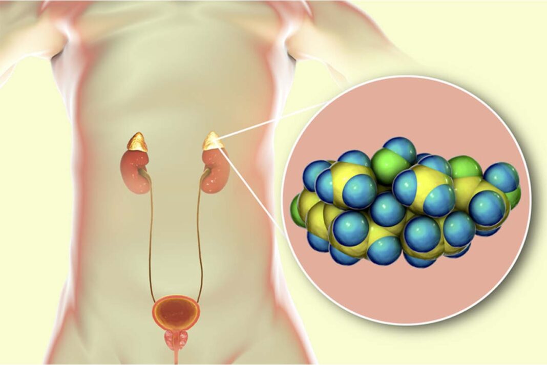 Kortizol Nedir ve Etki Alanı Nelerdir