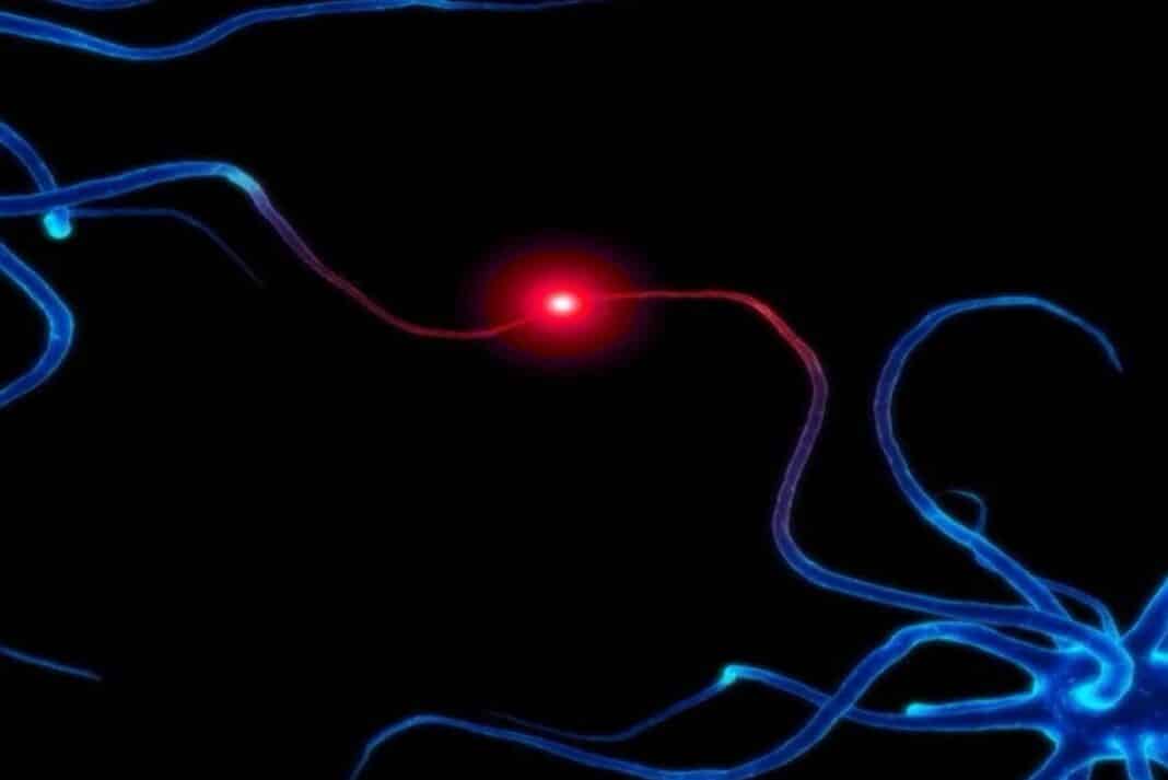 Zihnin Mucizevi Gücü: Nöroplastisite