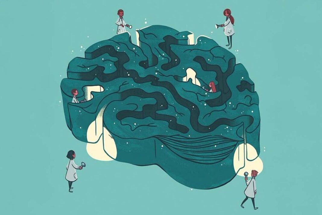 Beynimiz Değişebilir mi?