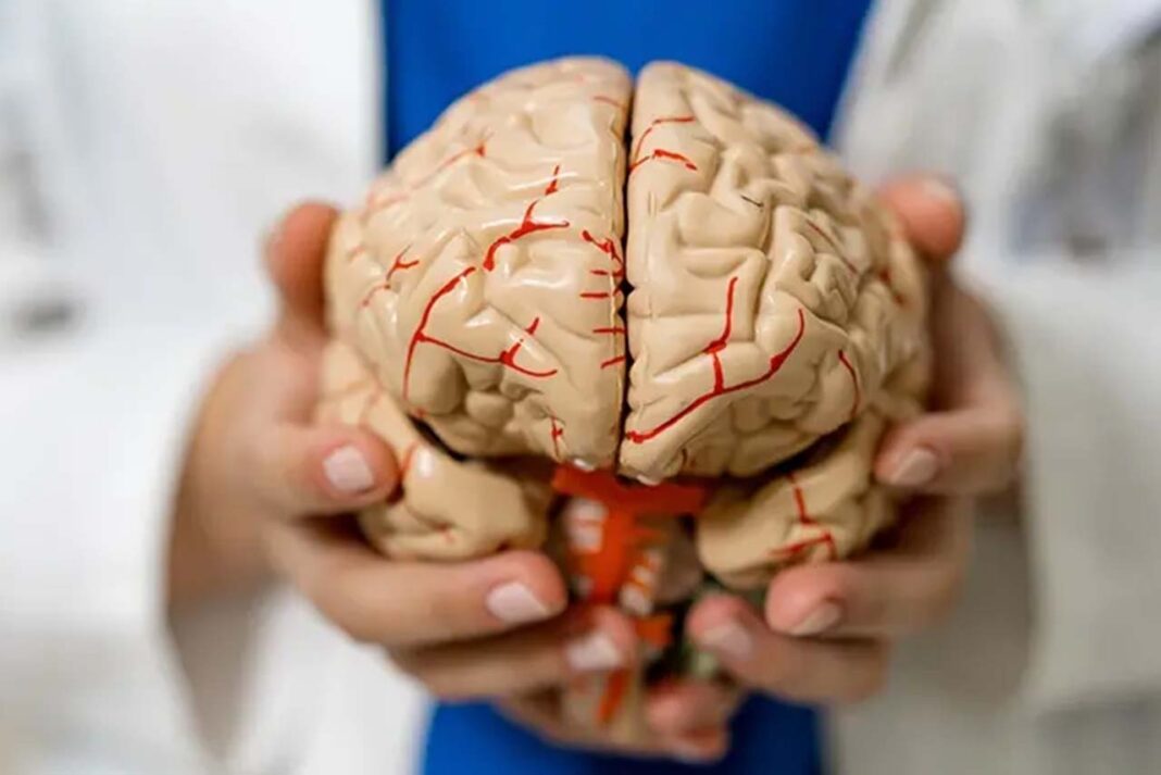 Travma Sonrası Stres Bozukluğu ve Emdr: Klinik ve Psikiyatrik Bir Perspektif