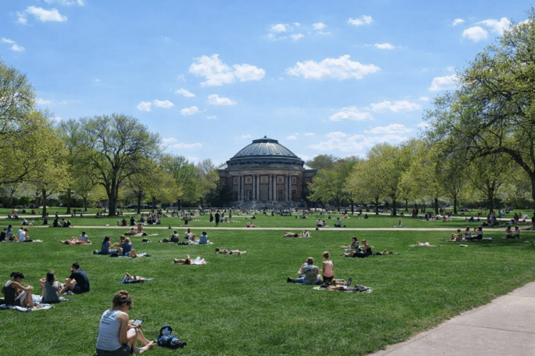 Ruhun Suretleri ve Doğanın Ritmi: Maskotlardan Renklerin Sessiz Dilini Anlamaya