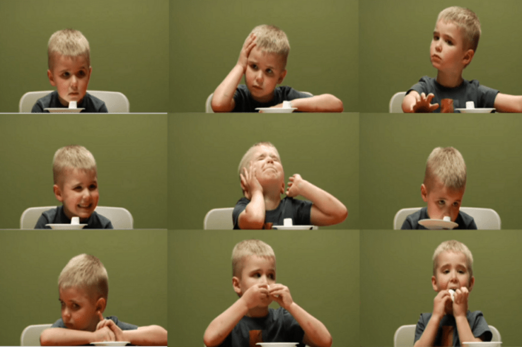 “Şimdi Olsun!” Çağında Sabır: Çocuklarda Haz Erteleme Becerisi