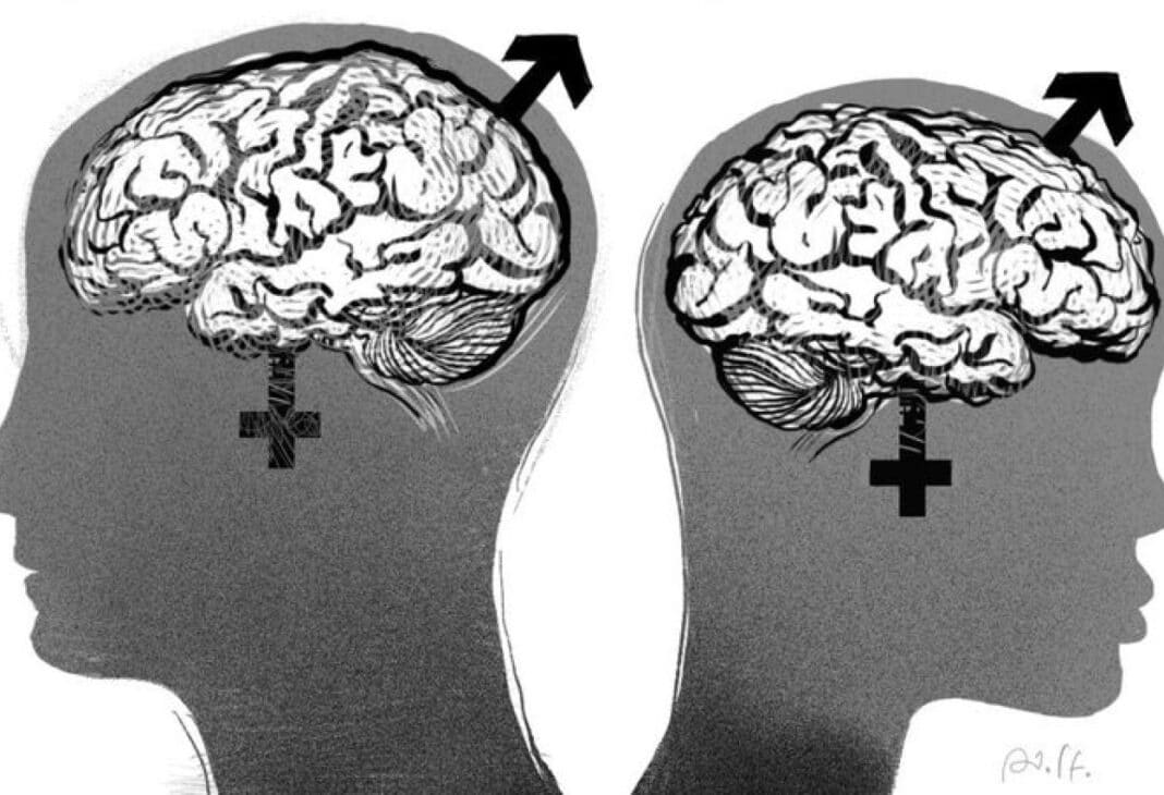 Nöroplastisite, Deneyim ve Toplumsal Cinsiyet konulu Psychology Times psikoloji yazısı için profesyonel görsel.