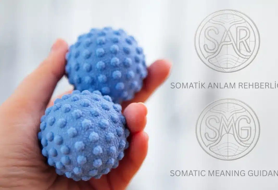 Somatik Anlam Rehberliği / Somatic Meaning Guidance Nedir?